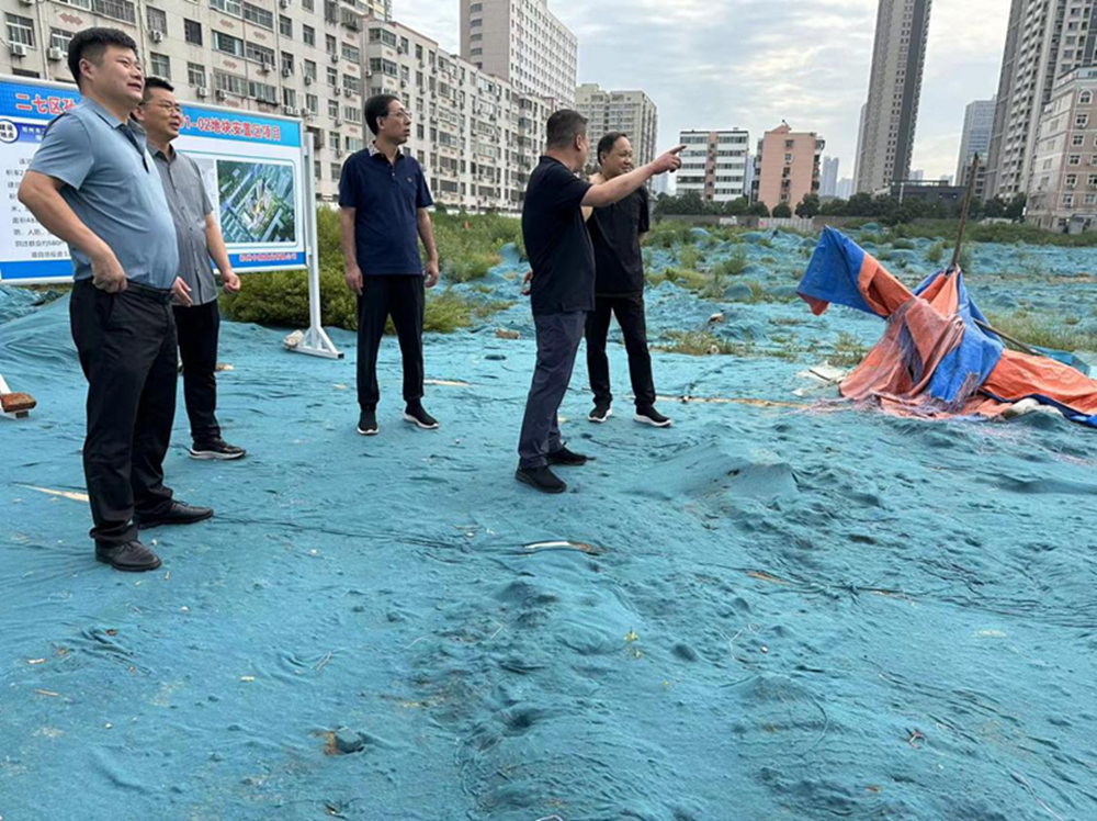 华体会在线平台-华体会在线官网
党委委员、副总经理张岩到侯寨新镇区安置区调研项目建设工作
